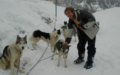 Une aventure à chiens de traineau