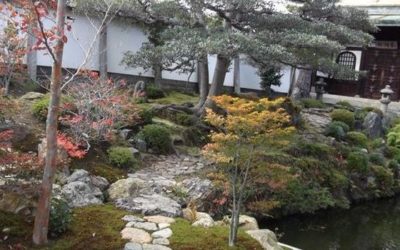 Jardin Zen – Kyoto