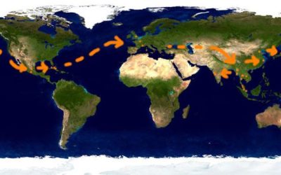 Retour en France – Fin de voyage